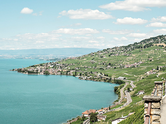 Discover the charming capital of Vaud. We'll show you why a trip to Lausanne will delight you. 
