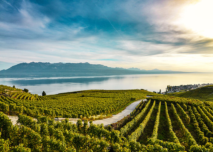 Hotels in Lake Geneva Region-With the Lavaux Express through the vineyards  Between April and October, you can discover the viney